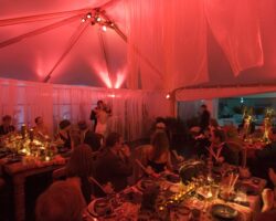 Wedding in a 30' x 40' frame tent featuring magenta color washing, pin spot lighting on the centerpieces, and custom sheer draping
