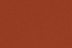 Rust Poly