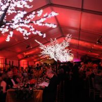 Magenta, pink and amber color washing with LED lighted cherry trees in a 20m structure tent.